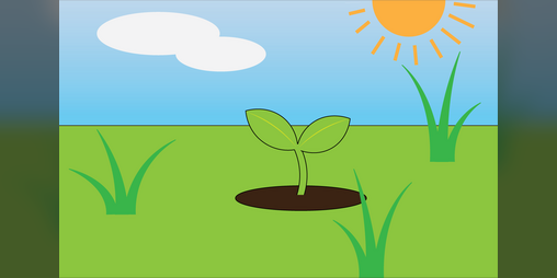 Cover image for Sapling Simulator