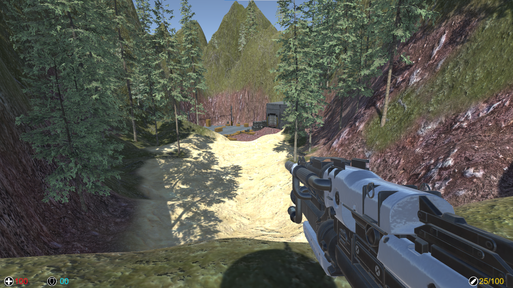 First Person Shooter