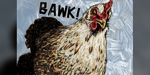 Cover image for Bawk!