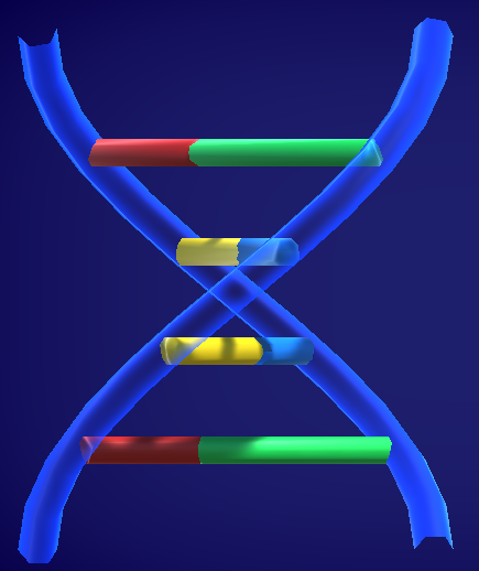 DNA