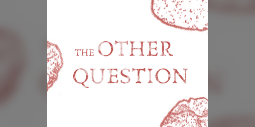 Cover image for The Other Question