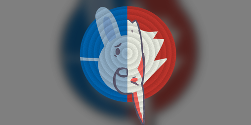 Cover image for Reflexion
