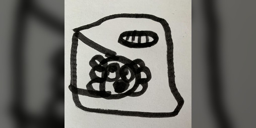 Cover image for Axolotl Runs