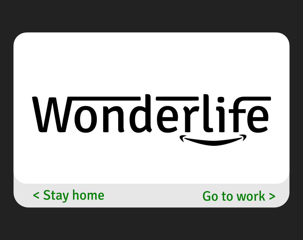 Cover image for Wonderlife