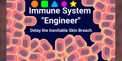 Cover image for Immune System "Engineer" - Can you Delay the Inevitable Skin Breach?