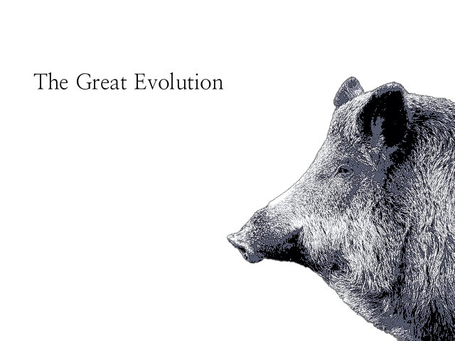Cover image for The Great Evolution