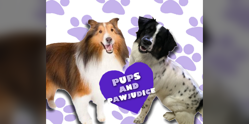 Cover image for Pups and Pawjudice