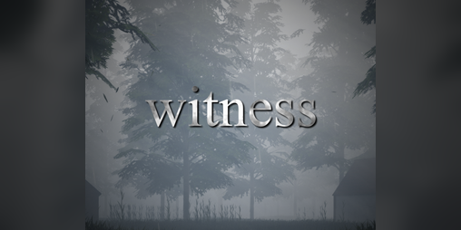 Cover image for Witness