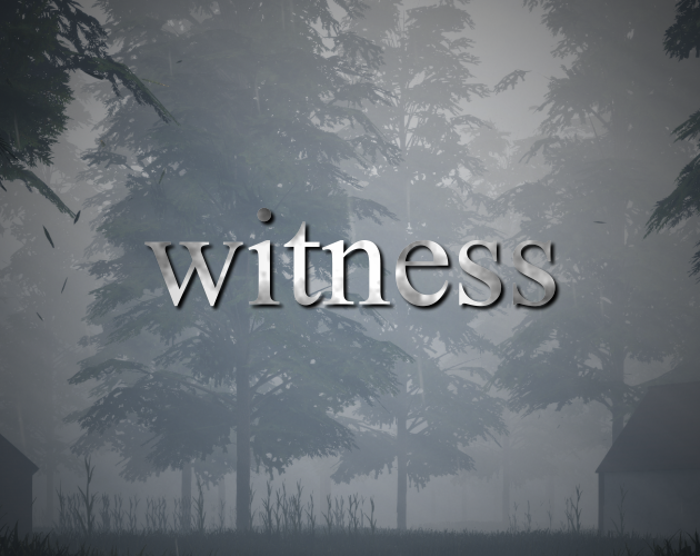 Cover image for Witness