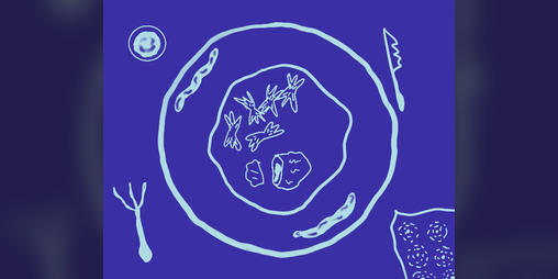Cover image for Popote Fragmentaire