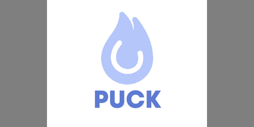 Cover image for Puck