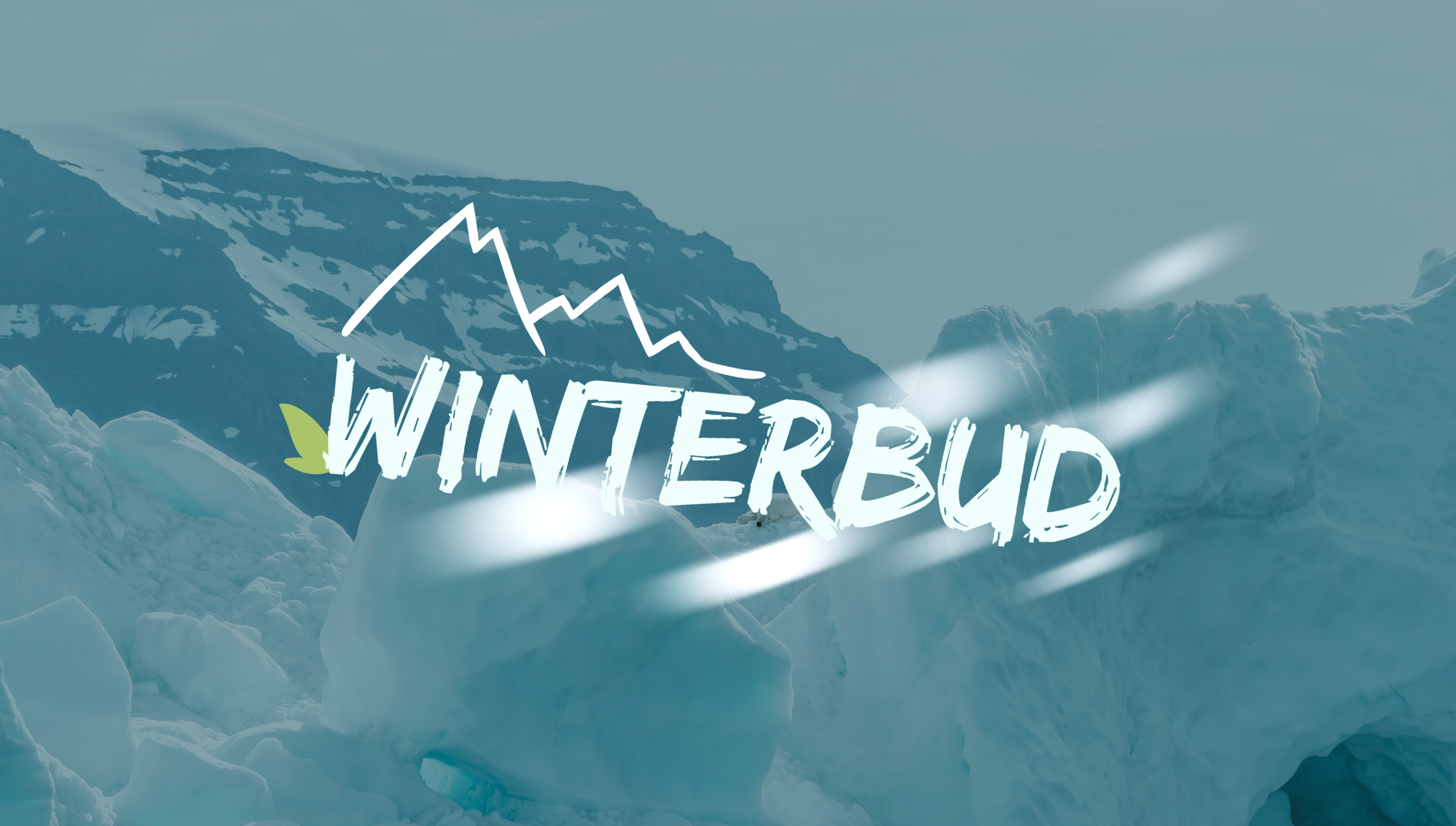 Winterbud - Exploratory Platformer