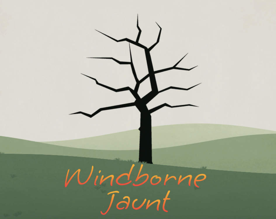 Cover image for Windborne Jaunt