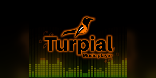 Cover image for Turpial - Music player