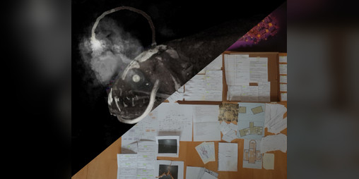 Cover image for SCP – 5005 Lamplight One-shot TTRPG