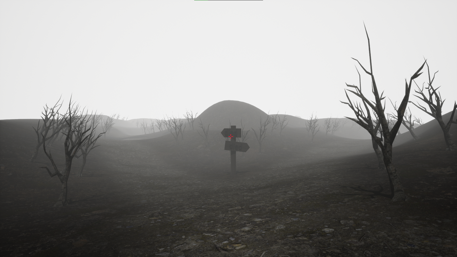 Cover image for Forest Run