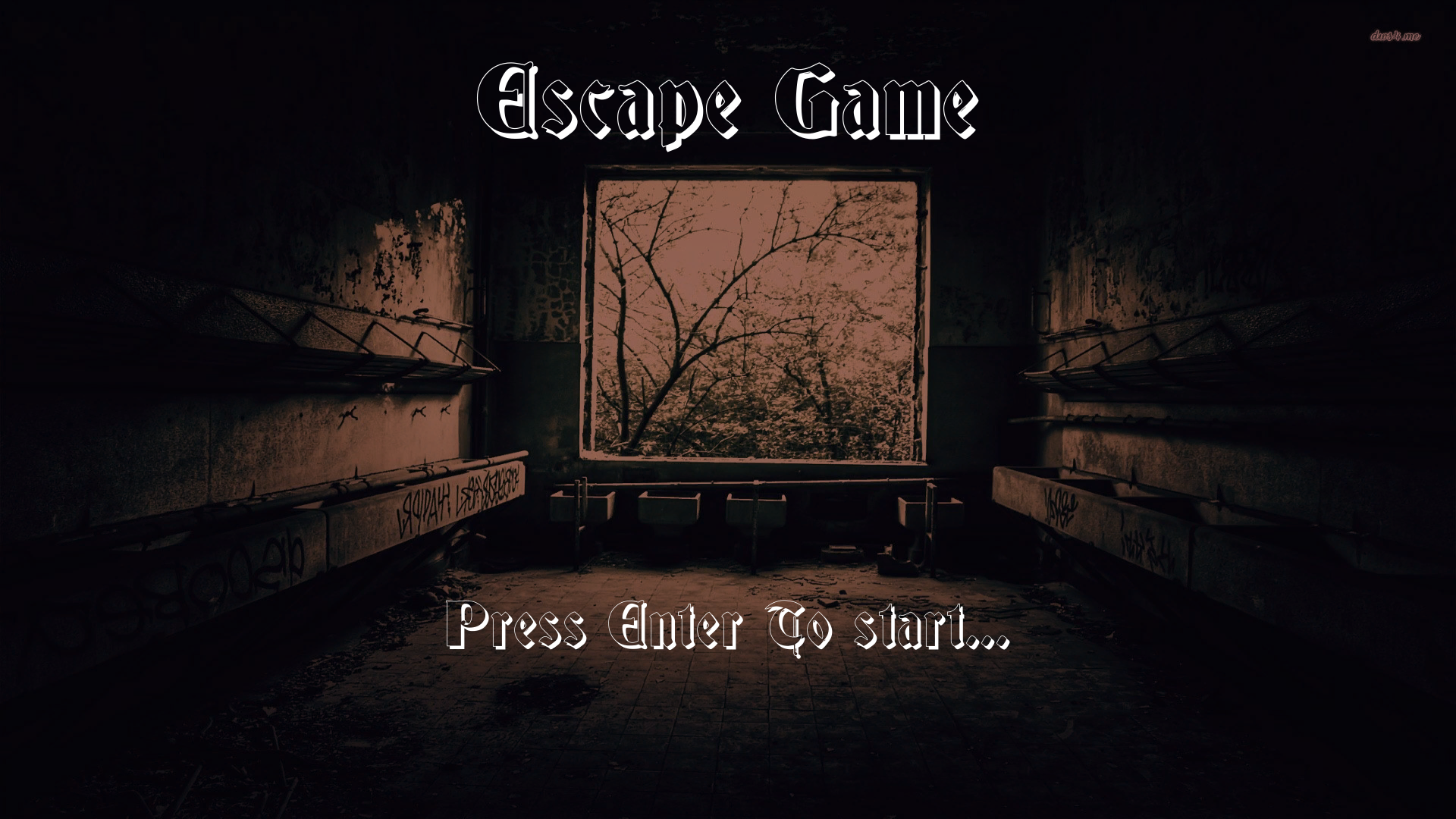 Cover image for Escape Game