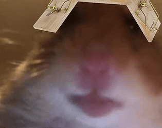 Mouse Trap VR