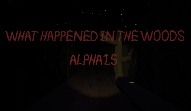What Happened in the Woods