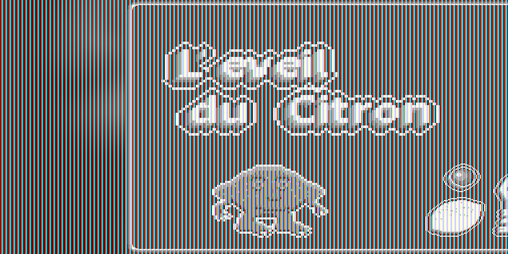Cover image for L'Eveil du Citron