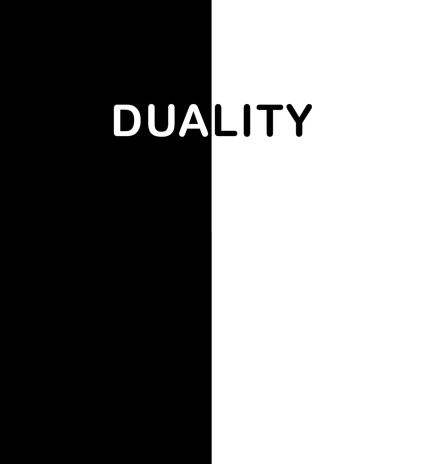 Cover image for Duality