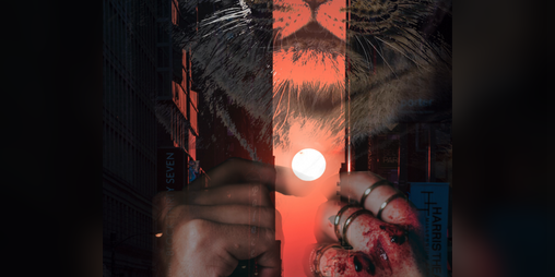 Cover image for Feral City (Ashcan)