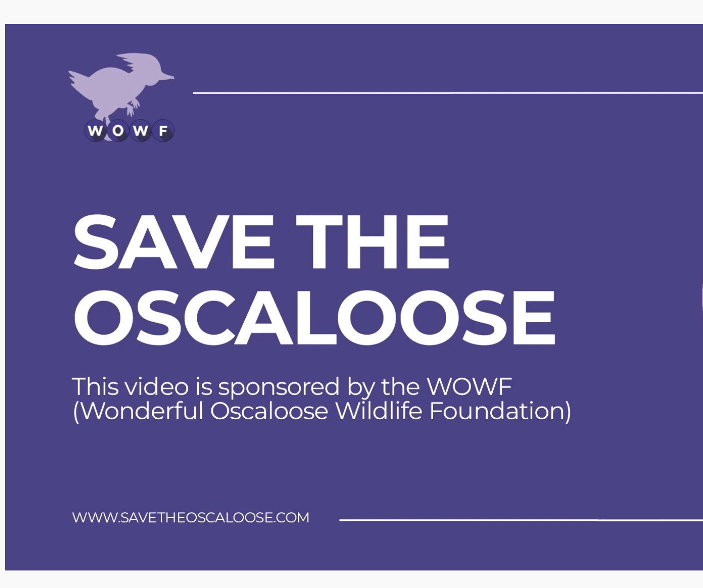 Cover image for Save The Oscaloose