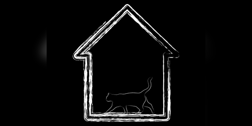 Cover image for A Walking Simulator About My Cat