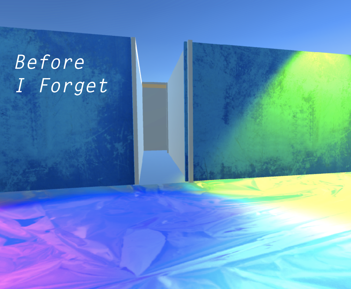 Cover image for Before I Forget