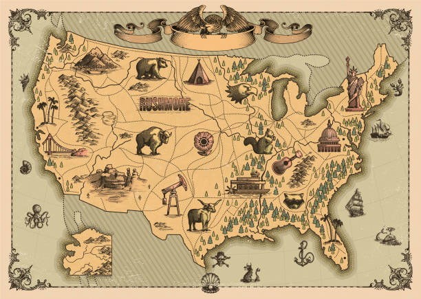 Group5 50 States