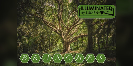 Cover image for Branches