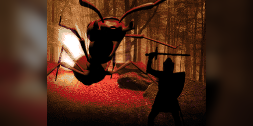 Cover image for It Came from the Forest