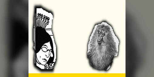 Cover image for Town Foolery