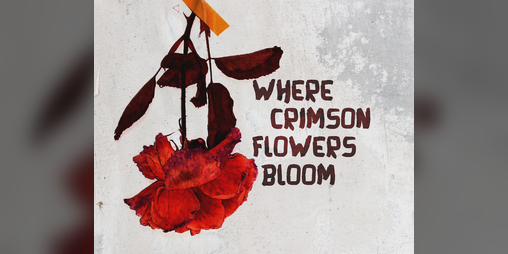 Cover image for Where Crimson Flowers Bloom