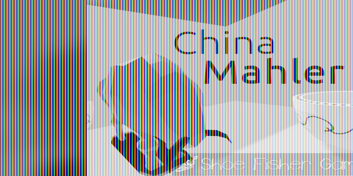 Cover image for China Mahler