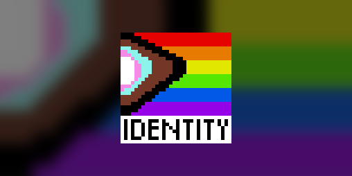 Cover image for Identity