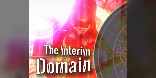 Cover image for The Interim Domain