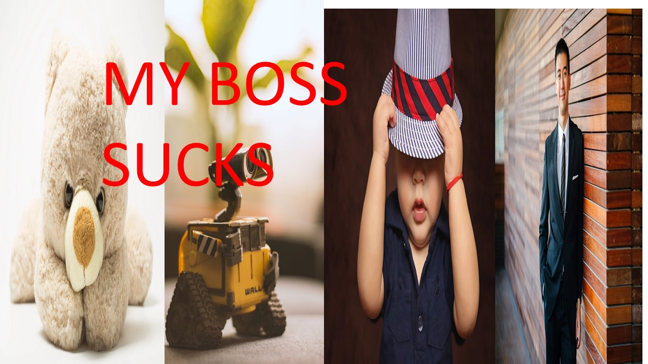 Cover image for My Boss Sucks