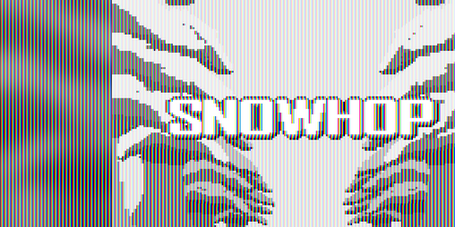 Cover image for Snowhop