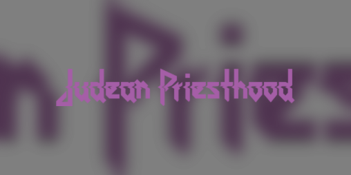 Cover image for Judean Priesthood