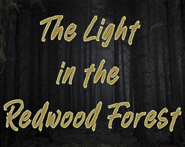 The Light in the Redwood Forest