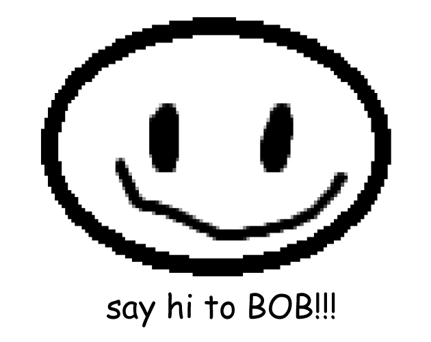 Cover image for say hi to BOB!!!