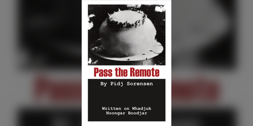 Cover image for Pass the Remote