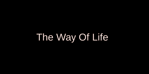 Cover image for The Way Of Life