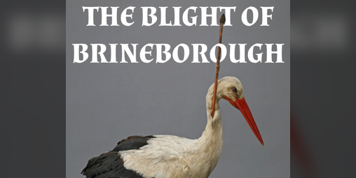 Cover image for The Blight of Brineborough