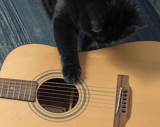 The Cat and The Guitar