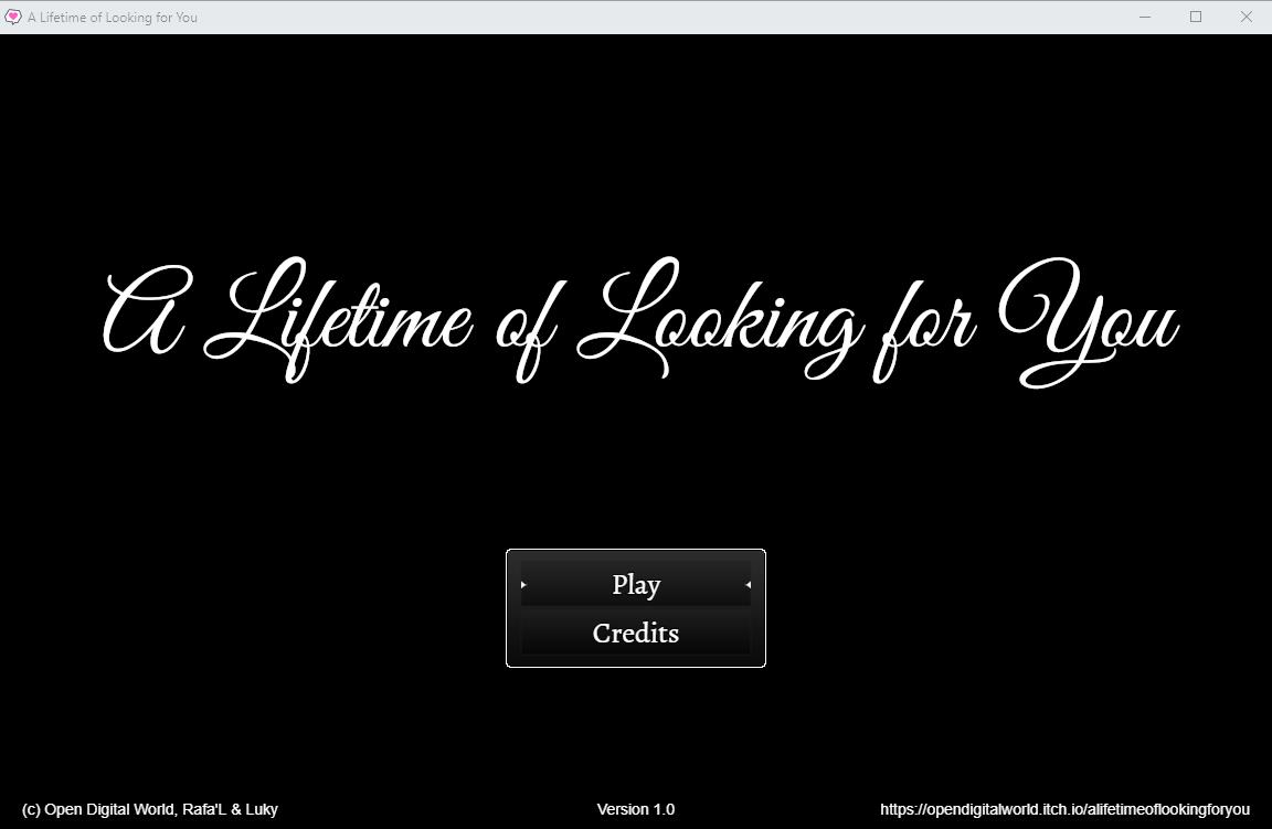 A Lifetime of Looking for You