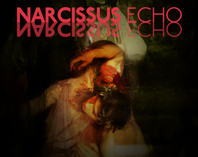 Cover image for Narcissus Echo