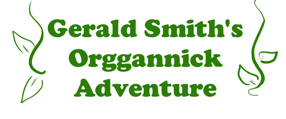 Gerald Smith's Orggannick Adventure