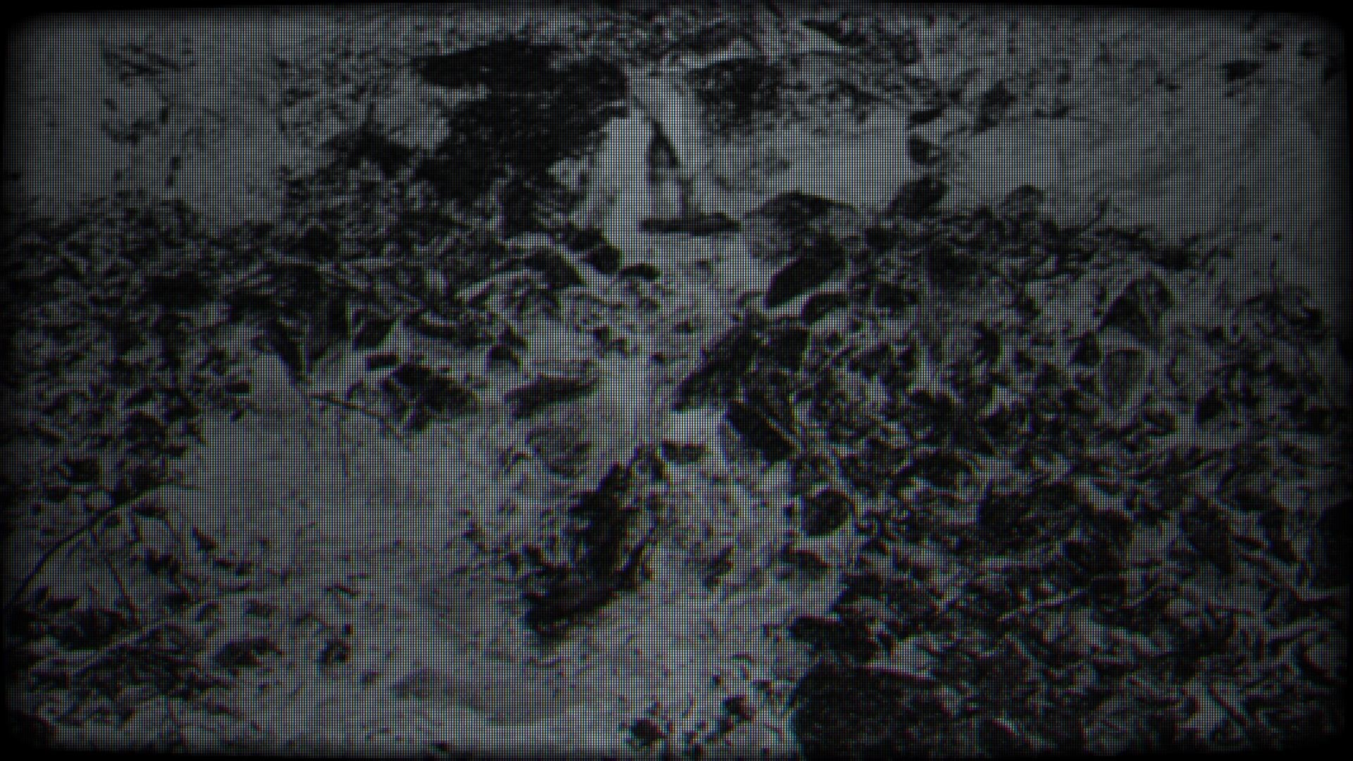 Cover image for 198145